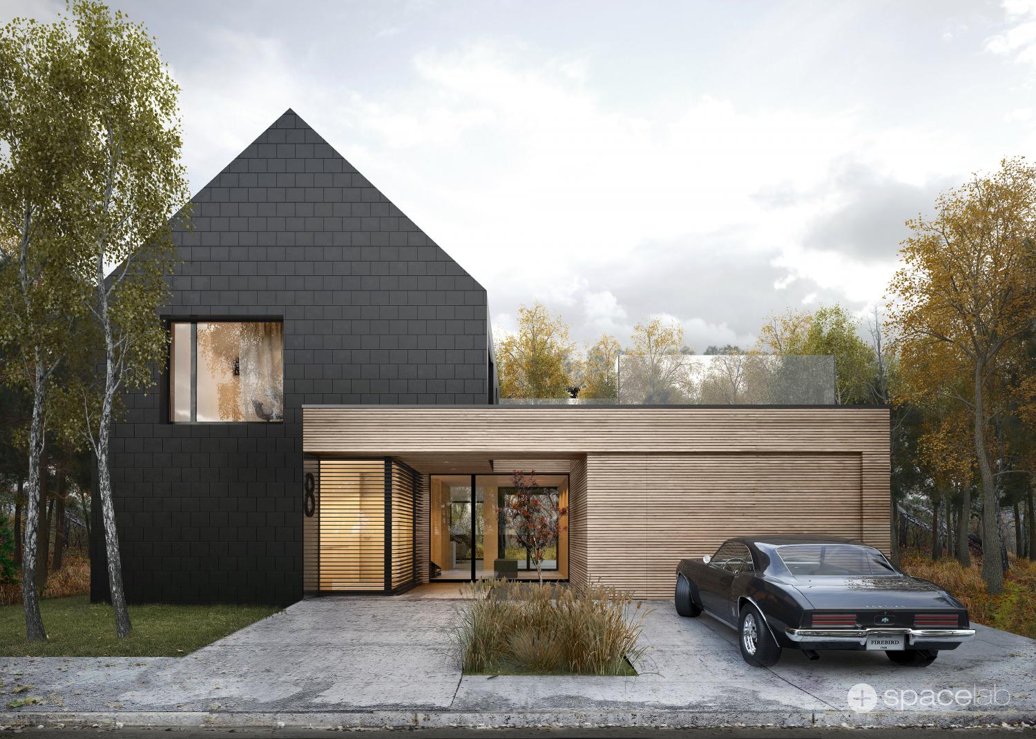 Dark Plate House, kompleksowy projekt domu jednorodzinnego, Poznań