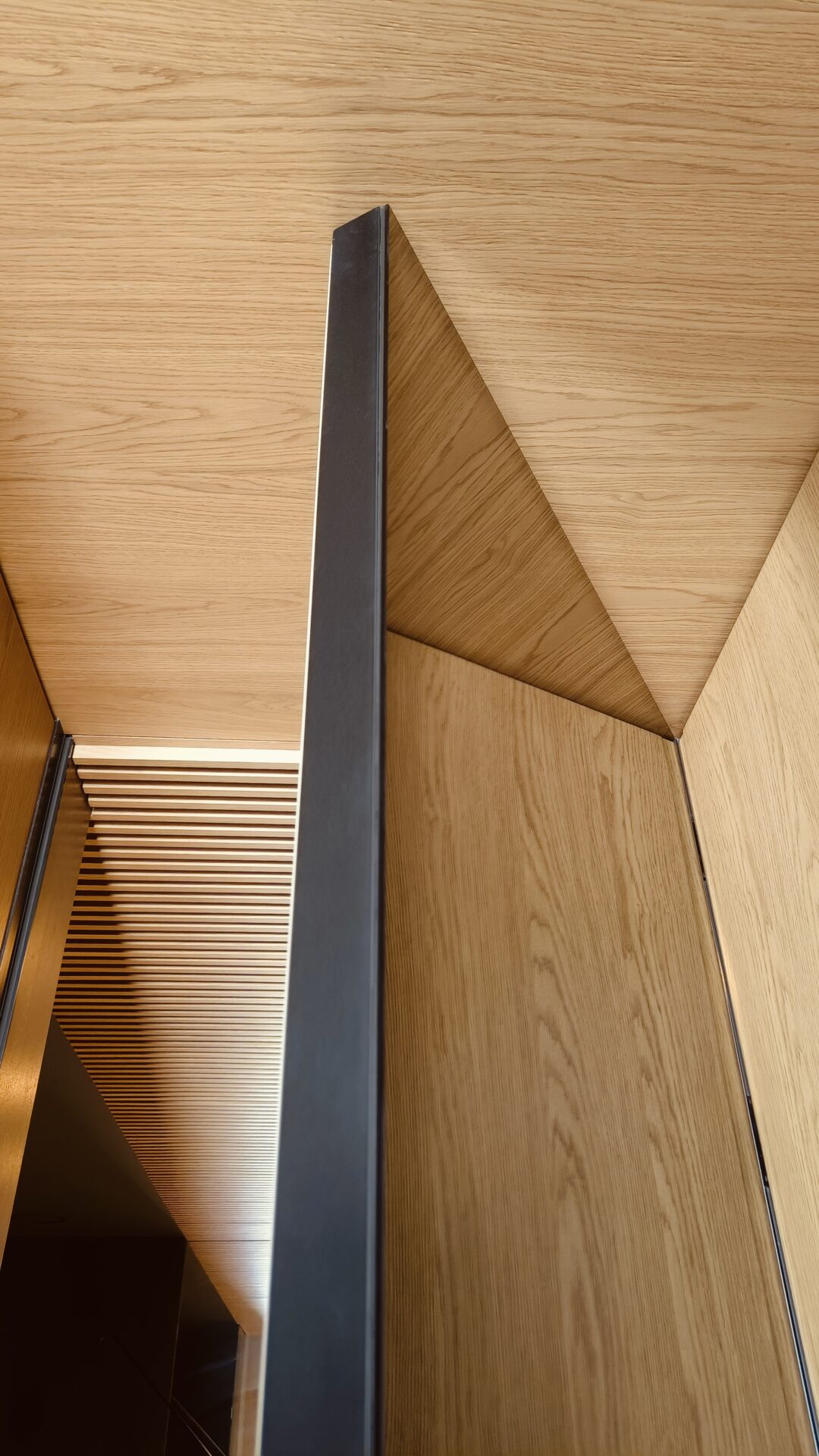 Projekt Wiry — 29-Drzwi-ukryte-do-sufitu-projekt-wnetrz-Spacelab-architekt-Poznan-1